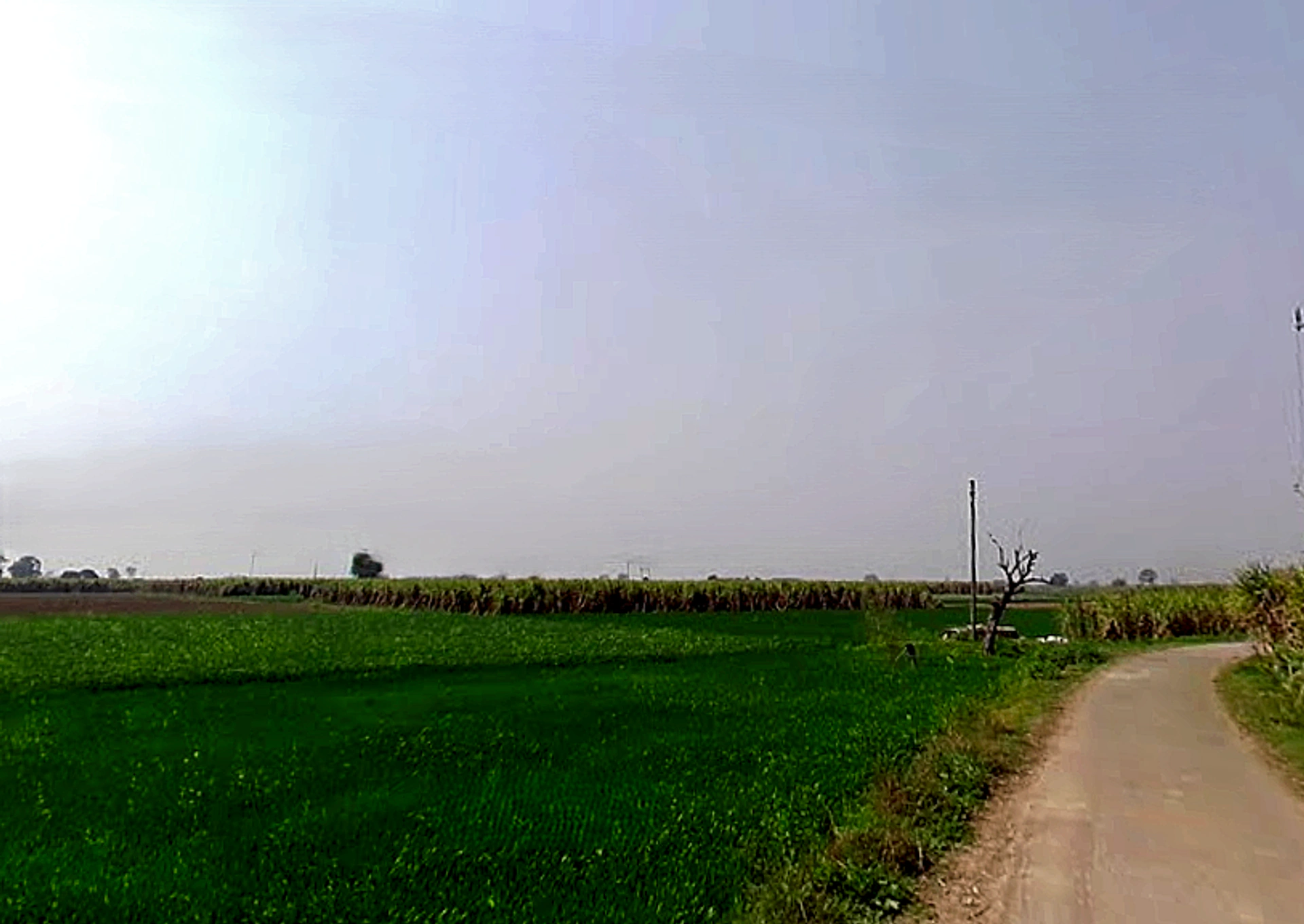 Ratauli, Uttar Pradesh 250341, India
