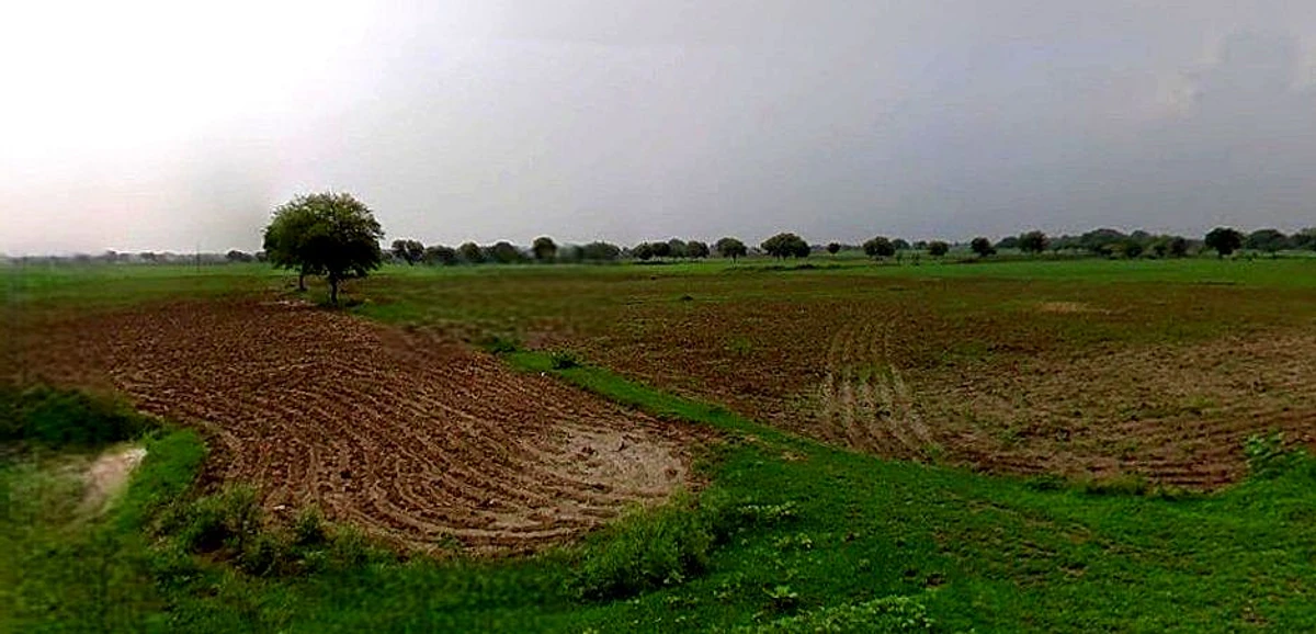 Chandla, Madhya Pradesh 471525, India