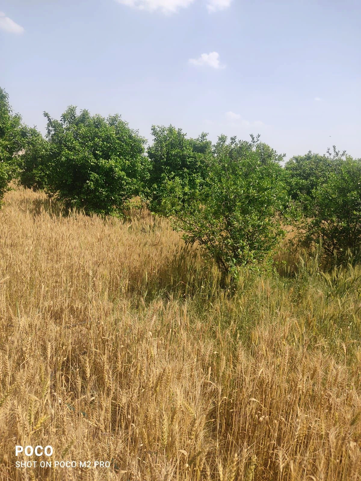 Charkhi Dadri, H7RJ+69V, Bhiwani, Charkhi Dadri, Haryana 127306, India