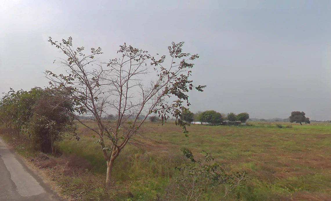 Silani, Haryana 124103, India