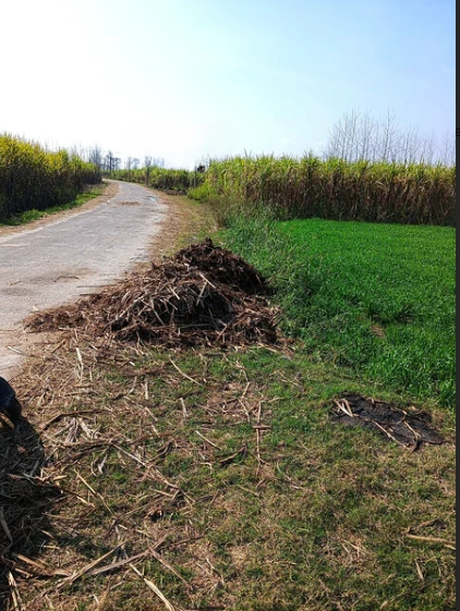 Laksar, Uttarakhand 247663, India