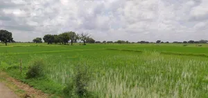 Haridwar, Uttarakhand, India preview 2