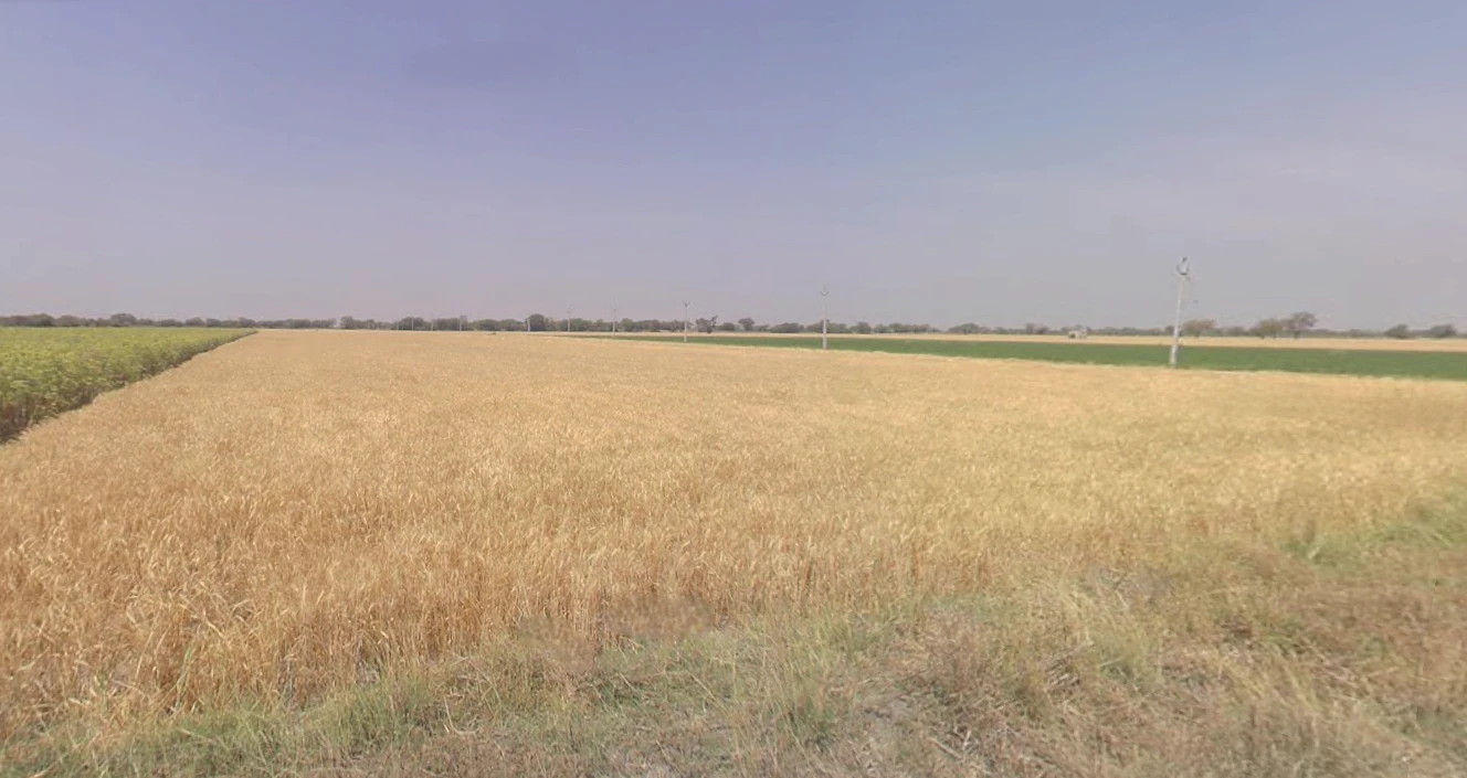 Gigasan, Gujarat 365640, India