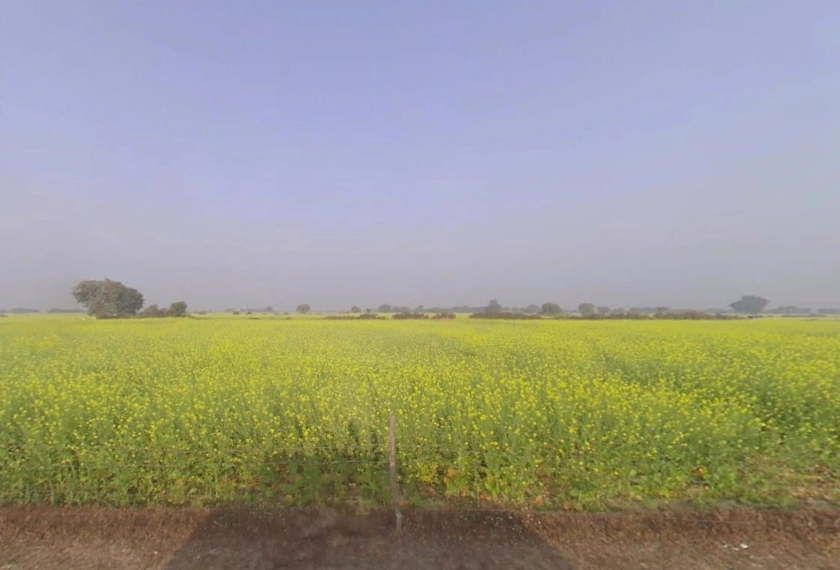 FWQ5+8J Gopalpura, Rajasthan, India