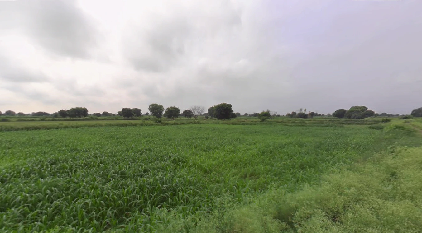 Khudaganj, Uttar Pradesh 242305, India