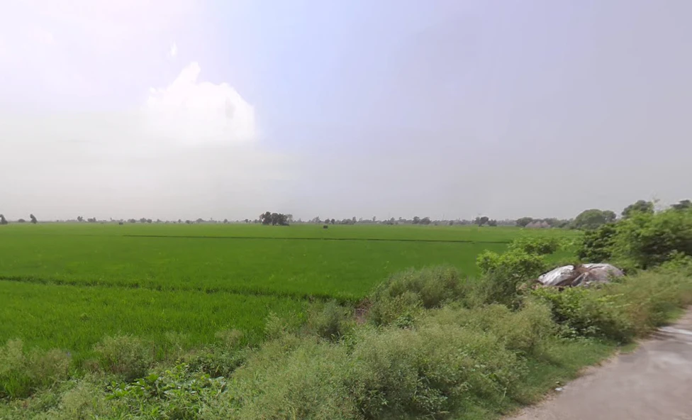 Rakshera, Haryana 132115, India