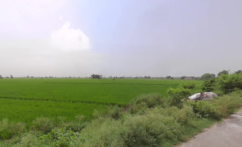 Rakshera, Haryana 132115, India preview 3