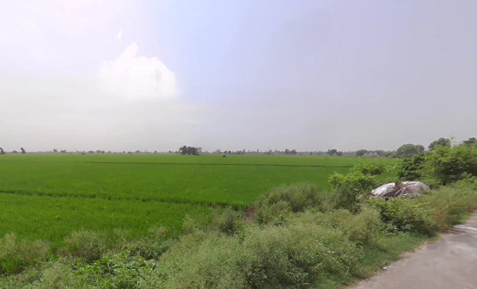 Rakshera, Haryana 132115, India