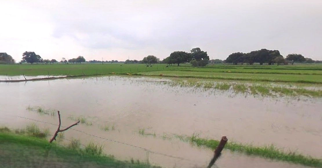 Sri Vijaynagar, Rajasthan 335704, India