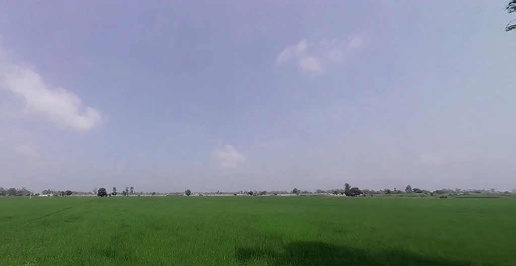 Pabla, Haryana 136020, India
