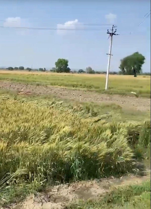 Biramdhana, Madhya Pradesh, India