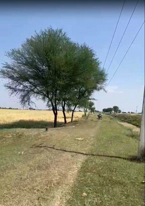 X8FM+X66, Akbai Badi, Madhya Pradesh 475110, India preview 3