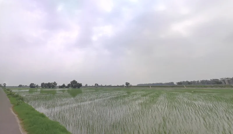 Shekhupur Titri, Haryana, India preview 2