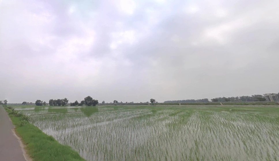 Shekhupur Titri, Haryana, India