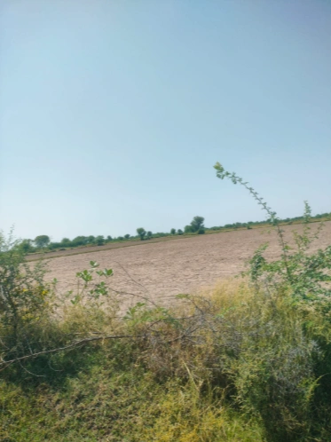 JGGX+PFG, Jaipur, Sultaniya, Rajasthan 303005, India
