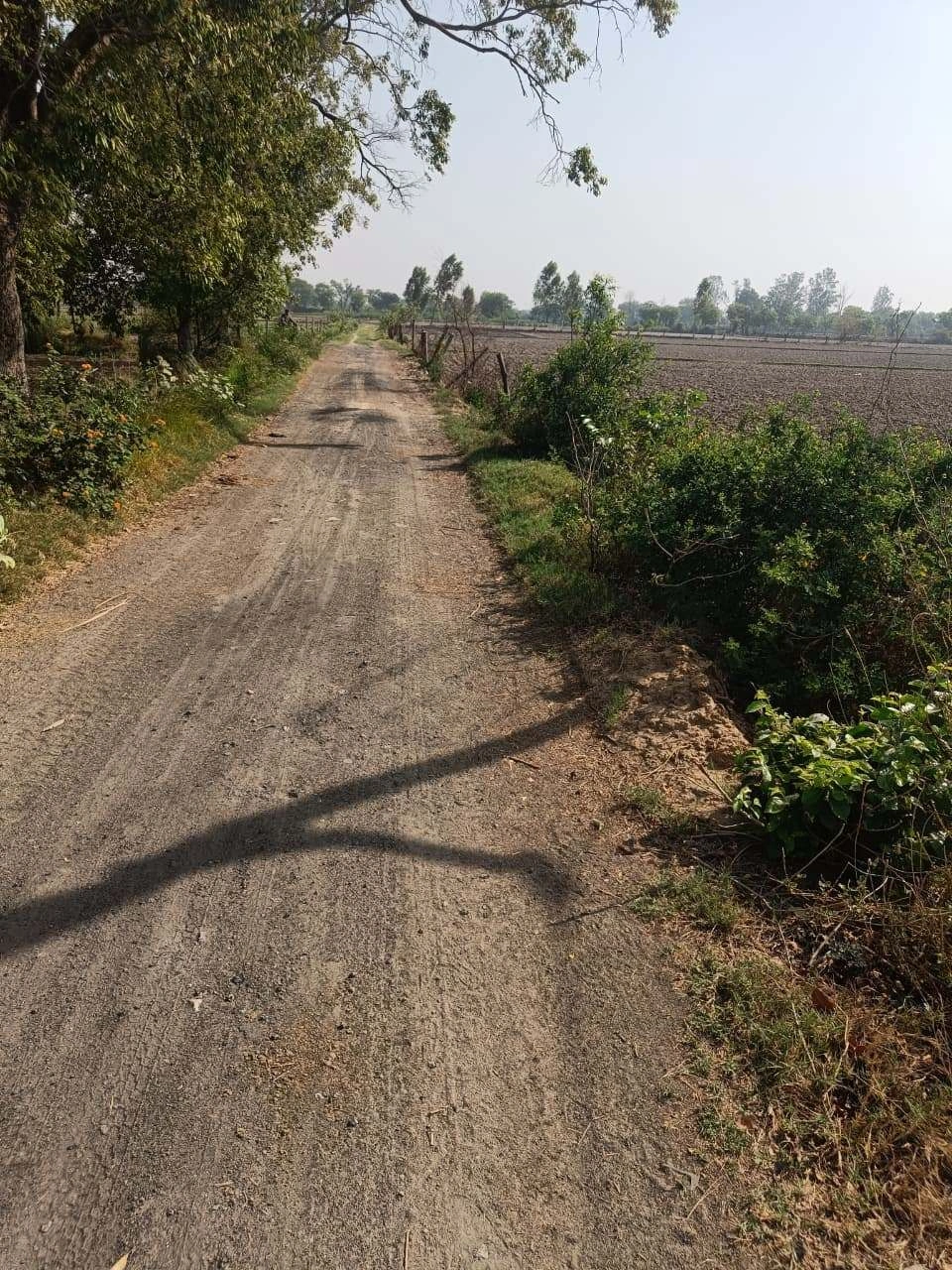 Ajhai Kalan, Uttar Pradesh 281406, India