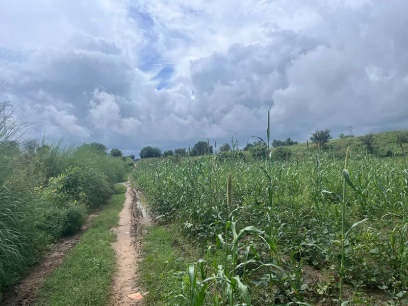 2JGQ+PM Charawas, Rajasthan, India preview 2