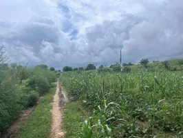 2JGQ+PM Charawas, Rajasthan, India preview 2