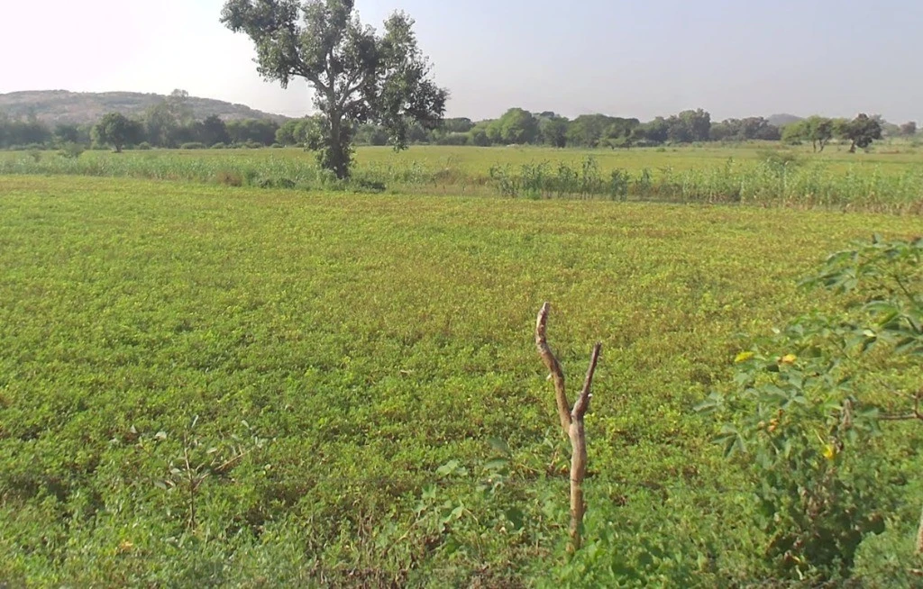 Badgaon, Chhattisgarh, India