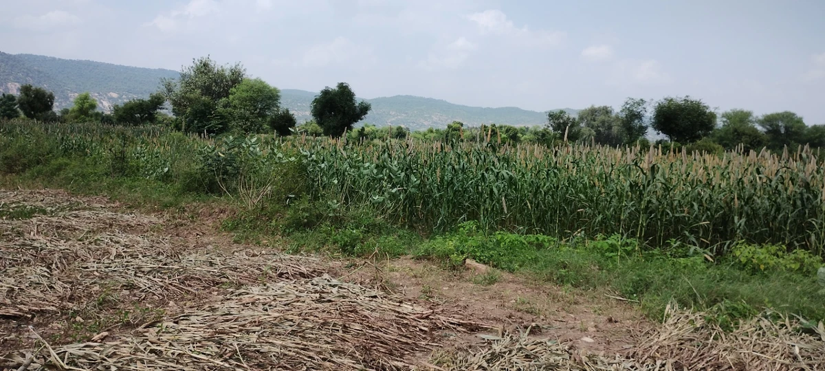 Dadhikar Rd, Hajipur, Rajasthan 301001, India