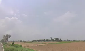 Muchipara, Durgapur, West Bengal 713212, India preview 3