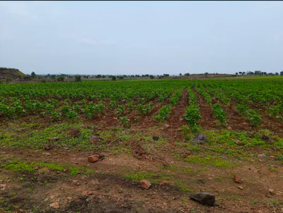 6FV2+H6 Jakhara, Gwalior, Madhya Pradesh, India preview 3