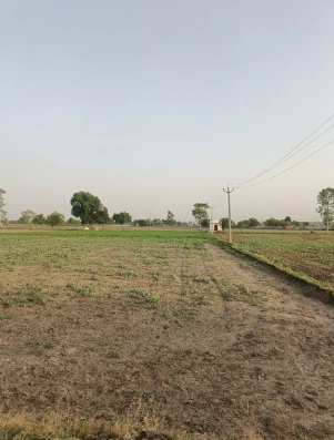 Barsana, Uttar Pradesh 281405, India