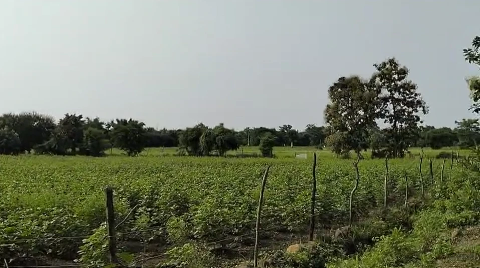 5JMX+G3 Kalkuhi, Maharashtra, India