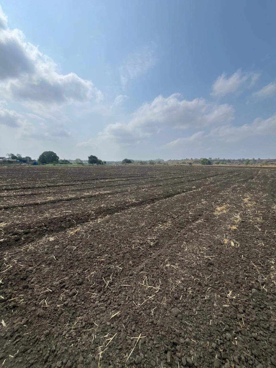 Bheda, Katni, Madhya Pradesh 483440, India