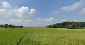 Mandar, Jharkhand 835214, India preview 2