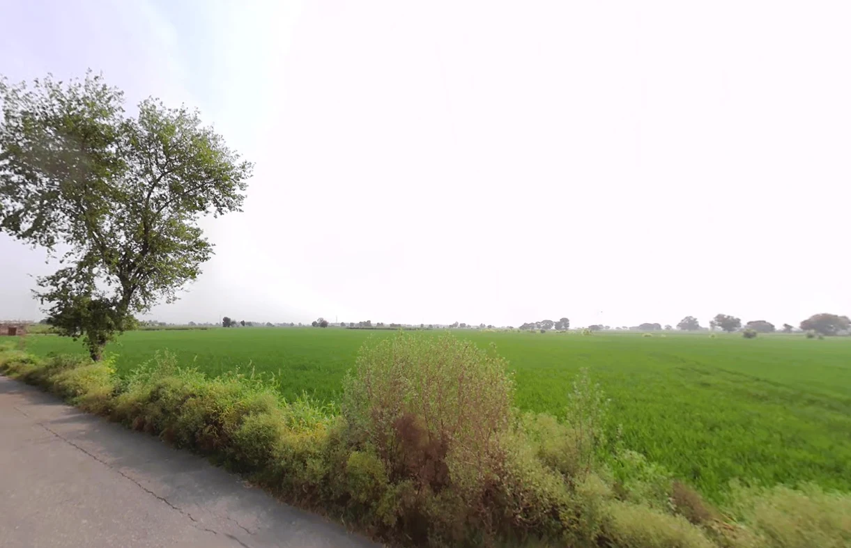 Madlauda, Haryana 132113, India