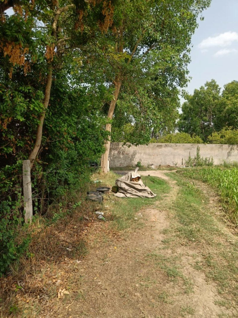 Gauhari, Uttar Pradesh 281401, India