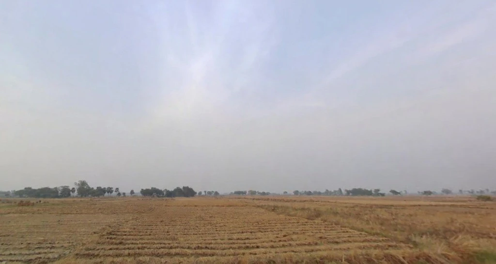 Paliganj, Bihar 801110, India