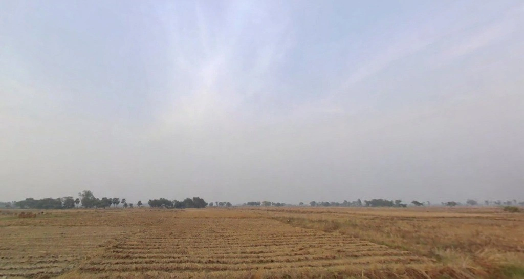 Paliganj, Bihar 801110, India