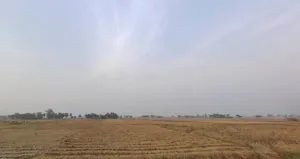 Paliganj, Bihar 801110, India preview 2