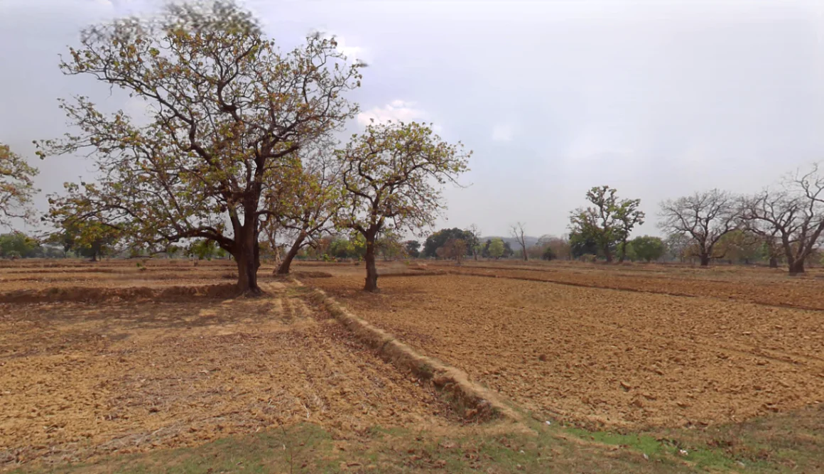 Bhalukona, Chhattisgarh 493449, India preview 3