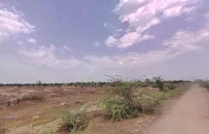 P2XG+R4 Cheepi Khera, Rajasthan, India preview 2