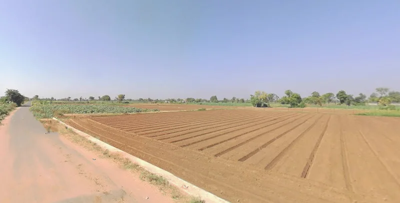 CGQP+9Q Khadiya, Gujarat, India preview 2