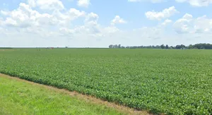 Salokh, Maharashtra 410101, India preview 2