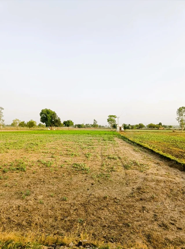 Nilokheri, Haryana 132117, India