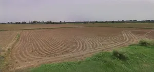 Ujjain, Madhya Pradesh, India preview 3