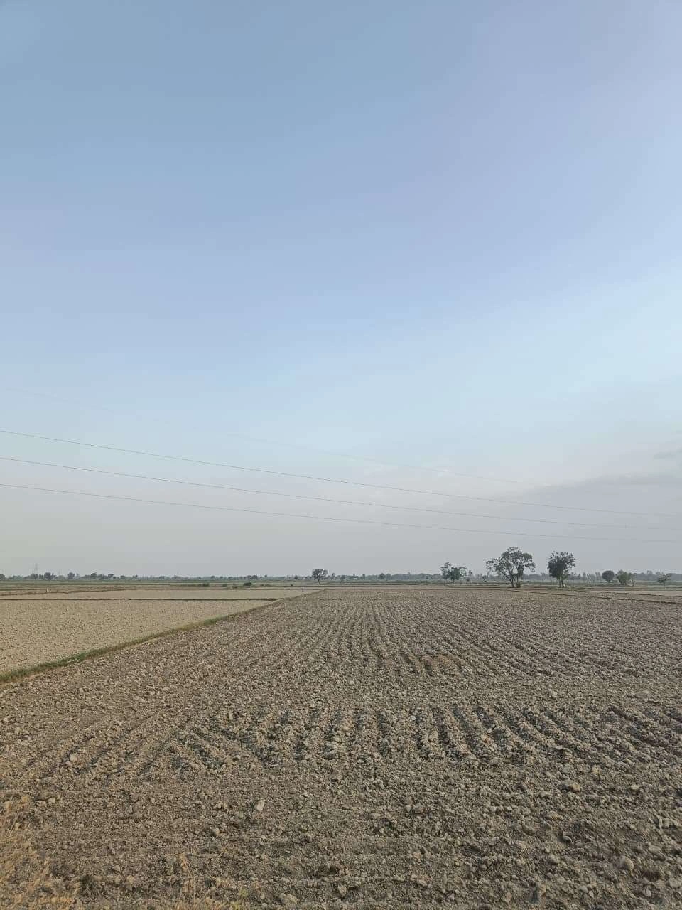 Aou, Rajasthan, India preview 3