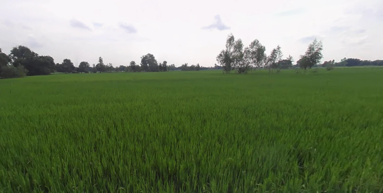 Mohanlalganj, Uttar Pradesh 226301, India preview 3