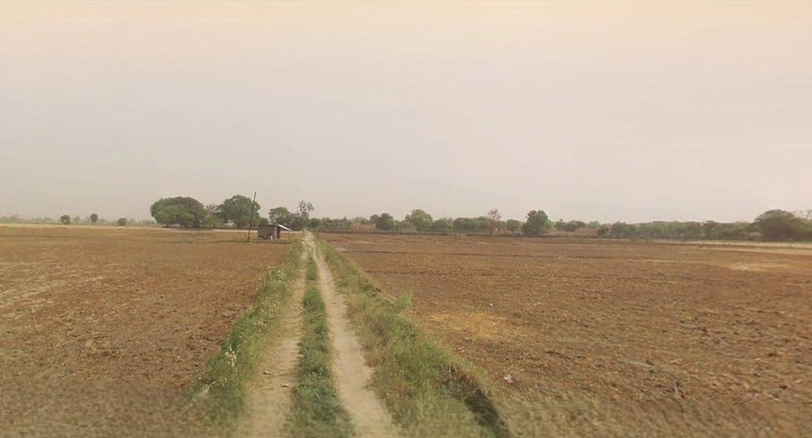 Barnagar, Madhya Pradesh 456771, India