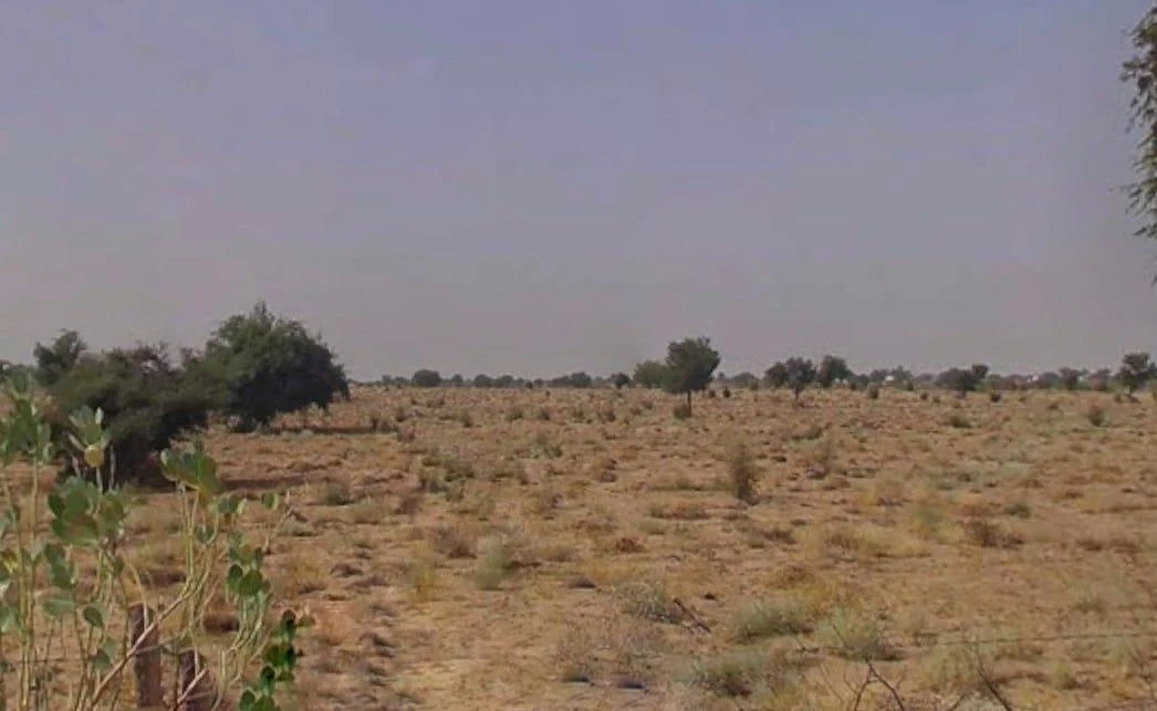 Bajju, Rajasthan, India