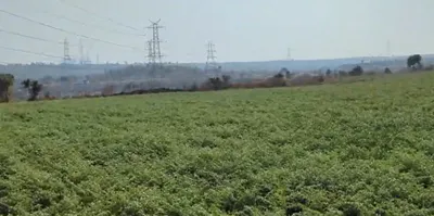 4R5C+W6 Jhir Bhar, Khargone, Madhya Pradesh, India preview 3
