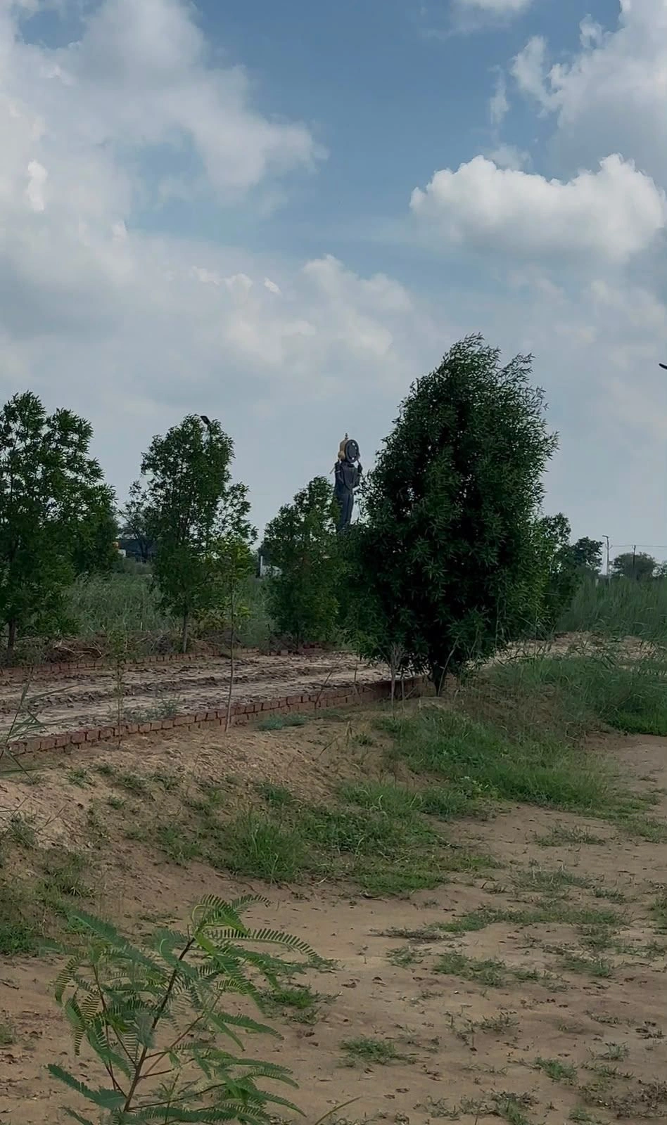 Kokilavan, Mathura, Vill Post, Bathain Kalan, Kokilavana, Uttar Pradesh 281403, India
