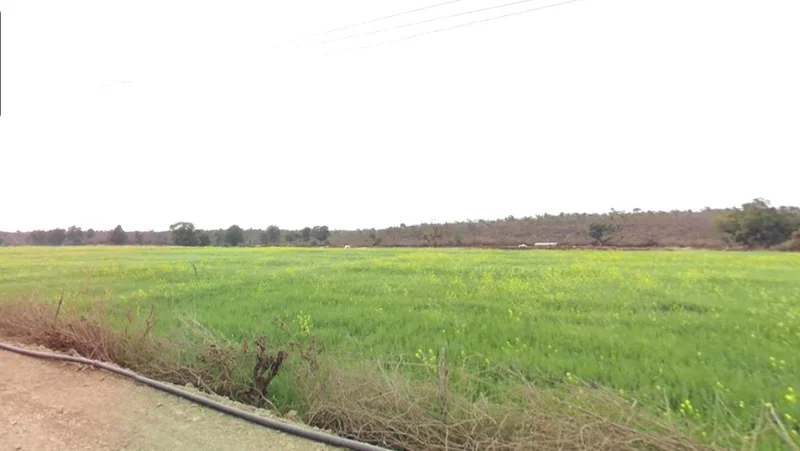 Shahna, Madhya Pradesh 453551, India preview 2