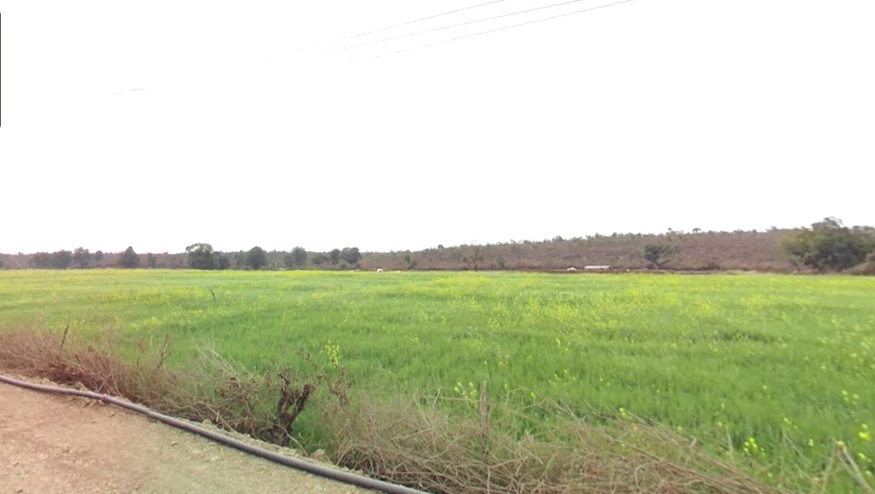 Shahna, Madhya Pradesh 453551, India