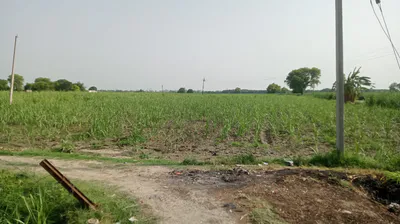 M46F+F7 Indrapuri, Rajasthan, India preview 2